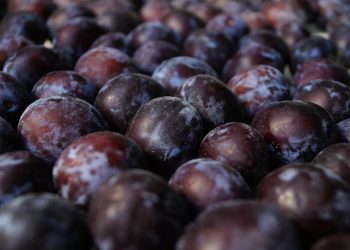 УПОА: Ціни на сливу в Україні перевищують минулорічний рівень