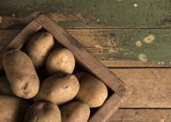 В Україні більшість виробників картоплі не бачать різниці між сировиною і готовою продукцією