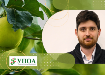 В Україні вже не буде дешевих яблук: на ринку залишаться професійні, експортно-орієнтовані гравці