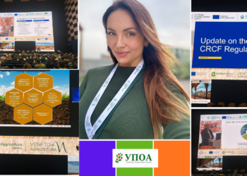 Європа будує ринок вуглецевого землеробства: чи готова вона до реальності України?